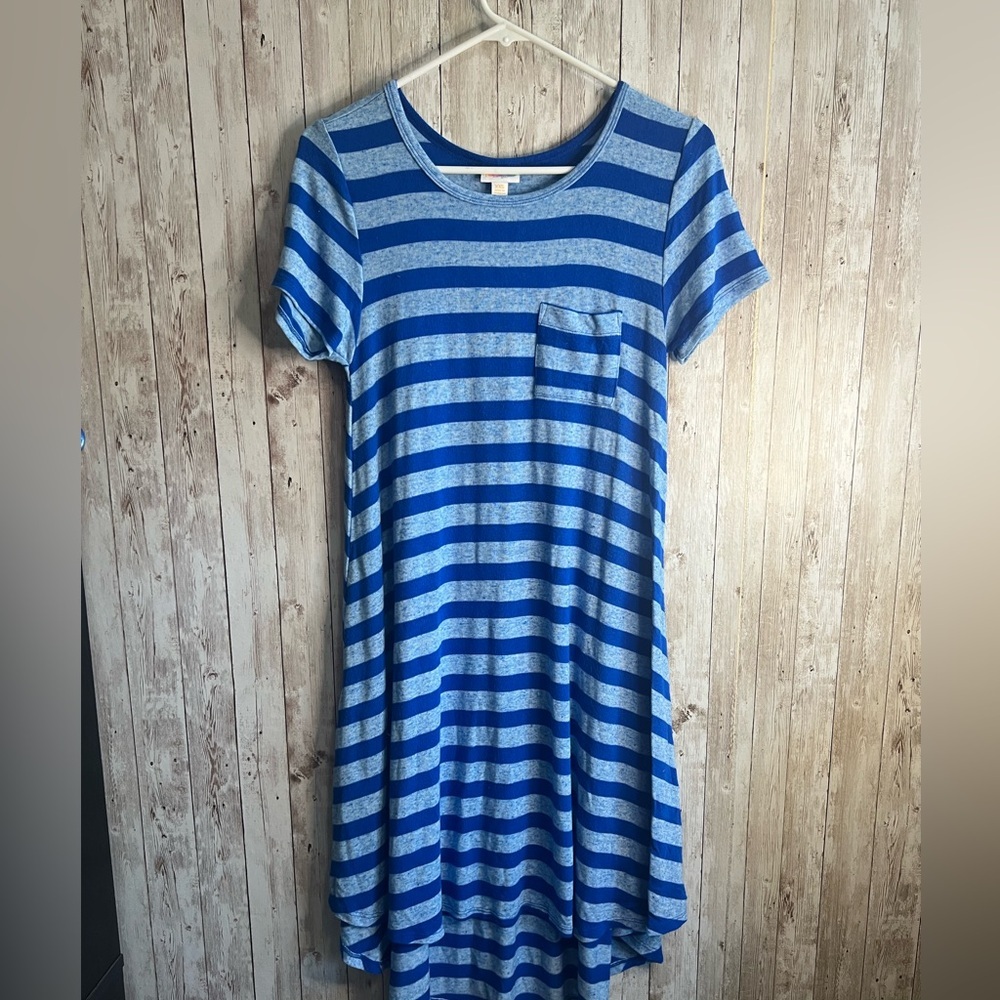 LuLaRoe Carly Swing Blue and White Striped Dress